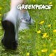 Help Hayley Save The Planet